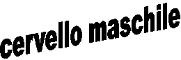 cervello maschile