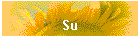 Su