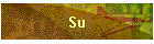 Su